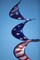 In the Breeze 5175 - 24" Stars and Stripes Curlie Spinner - Outdoor Hanging Decoration